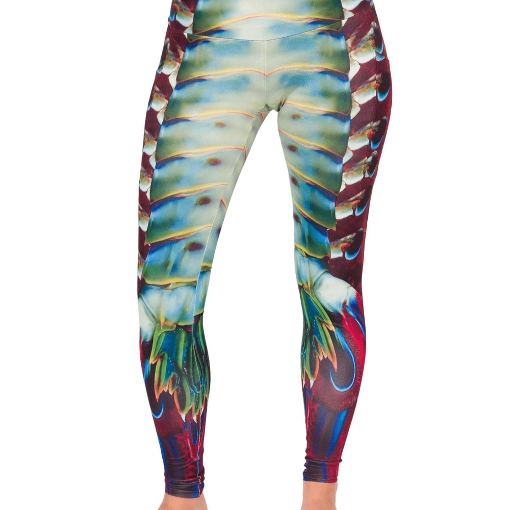 Waterlust Stomatopod Colorful Swim Dive Leggings